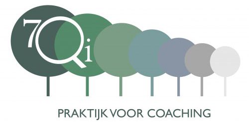 7Qi Praktijk voor coaching